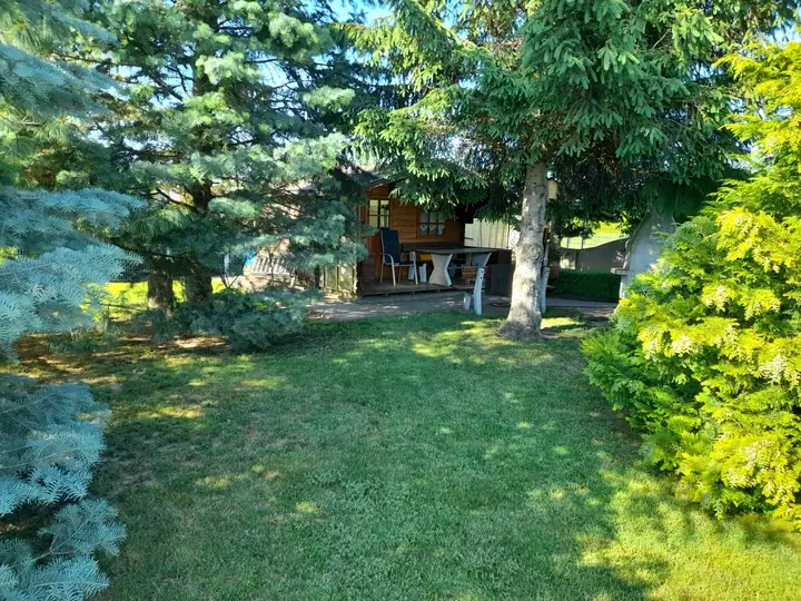 Gartenhaus zwischen den Bäumen