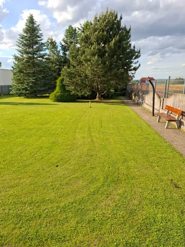 Blick über die Länge des Gartens