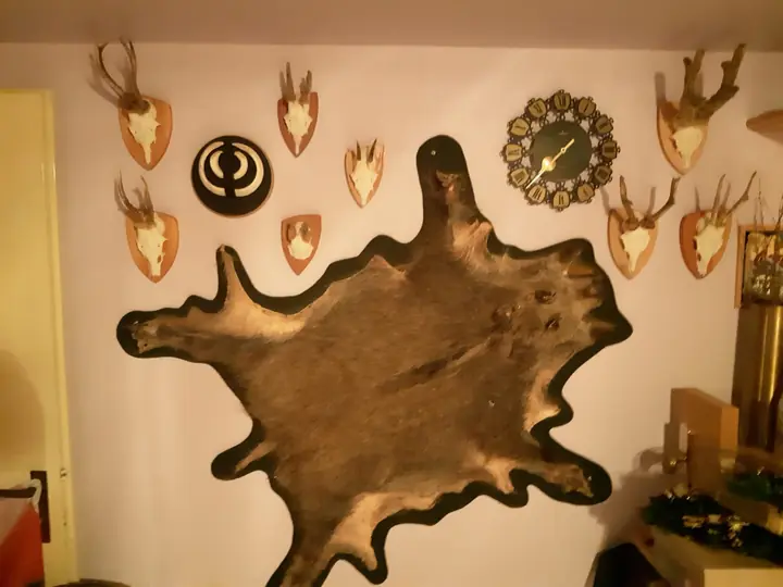 Wand mit Jagdtrophäen